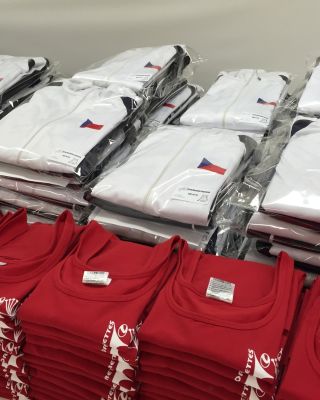 👕 Máš tým a potřebuješ všechny obléct tak, aby vám to ladilo? Na Mishinu ti ušijeme týmové dresy na zakázku – přesně podle...